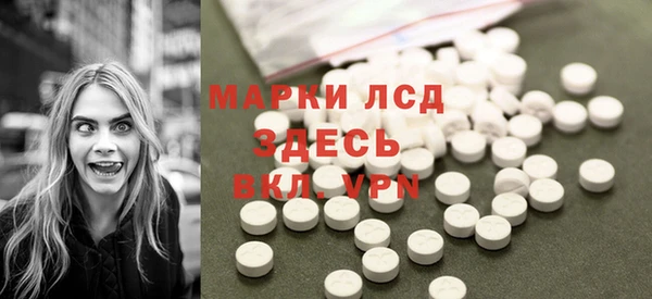 прущие грибы Вяземский