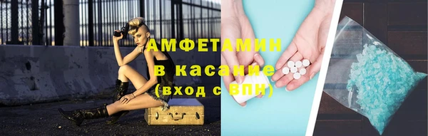 прущие грибы Вяземский