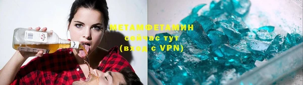 прущие грибы Вяземский