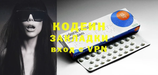 прущие грибы Вяземский