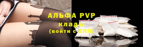 прущие грибы Вяземский