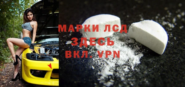 прущие грибы Вяземский