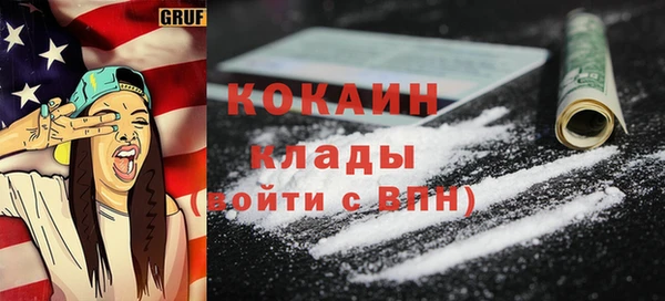 прущие грибы Вяземский