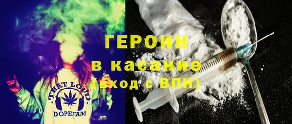 прущие грибы Вяземский