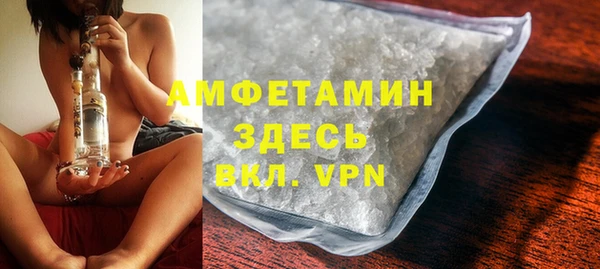 прущие грибы Вяземский