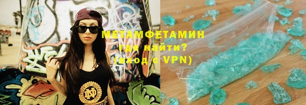 прущие грибы Вяземский