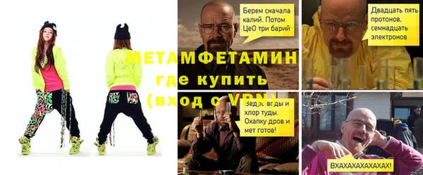 прущие грибы Вяземский