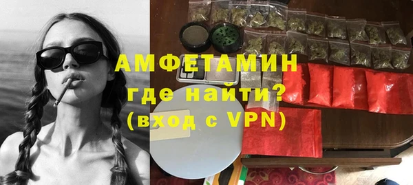 прущие грибы Вяземский