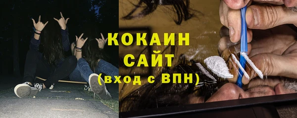 прущие грибы Вяземский