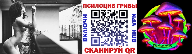 KRAKEN ONION  Микунь  Галлюциногенные грибы Cubensis 